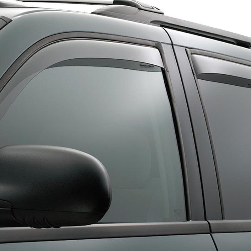 WeatherTech Chevrolet Trailblazer, GMC Envoy 20022009 Light Smoke Rear