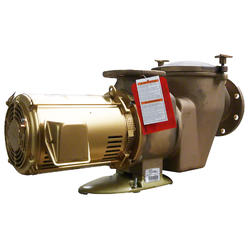 PENTAIR POOL PRODUCTS Pump, Pentair C Series CHK-100 W/ Trap, 10hp, 3ph, Bronze