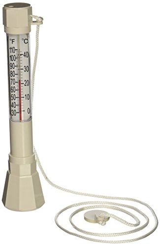Pentair R141200 Pentair #136 Floating Thermometer