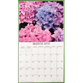 Jot cw17 2018 Illustrated Wall Calendars with Matching Mini Calendars