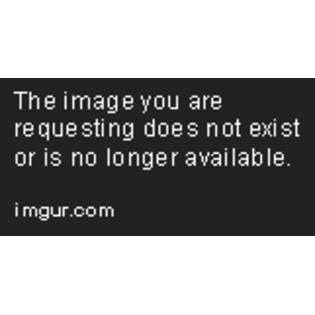 Nike Women S In Season Tr 9 Training Shoe