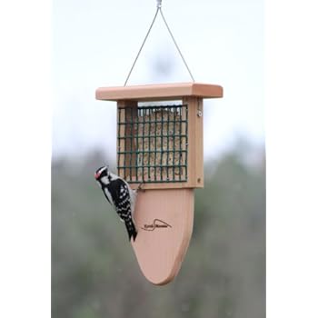 Kettle Moraine New Kettle Moraine Cedar Single Cake Tail Prop Suet Bird Feeder with Hanging Cable