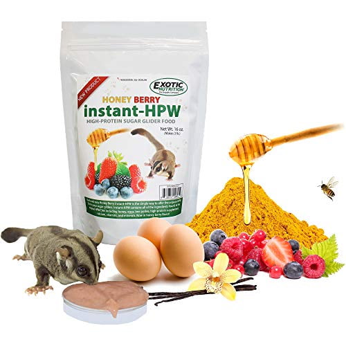 Exotic Nutrition Honey Berry Instant Hpw High Protein Sugar Glider Food 8 Oz