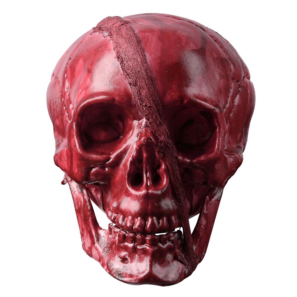 Yescom Halloween Skeleton Head Human Skull Plastic Prop Haunted House Party Ornament Horror Decor