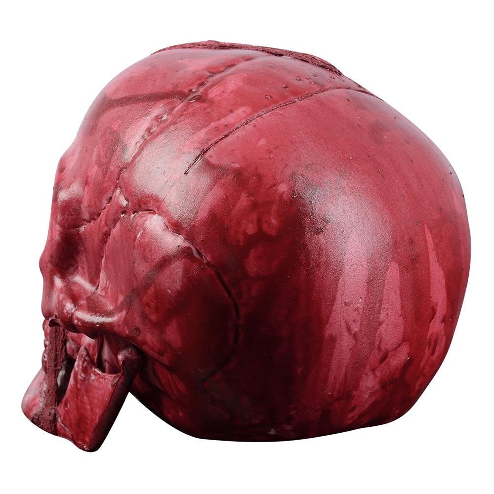 Yescom Halloween Skeleton Head Human Skull Plastic Prop Haunted House Party Ornament Horror Decor