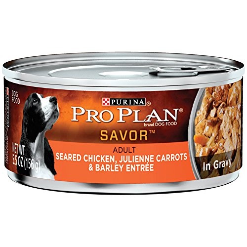 Purina Pro Plan Savor Seared Chicken Carrots Entree Canned Adult Dog Food 24x5.5oz