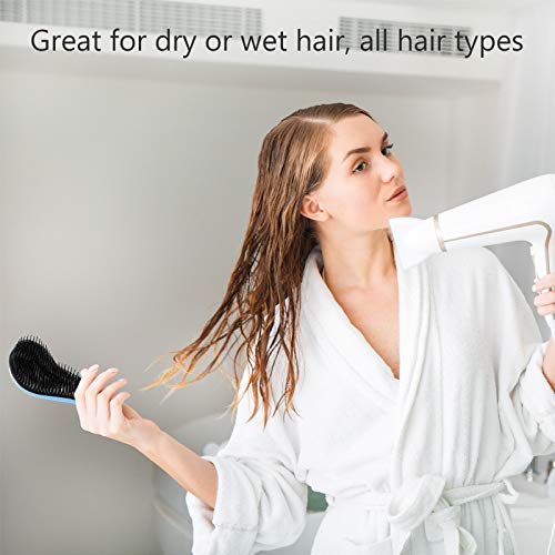 BOAO Detangling Brush, Anti-knot Massage Comb, Beauty Tools, Hair Brush  Set, Pain-Free Hair Brush