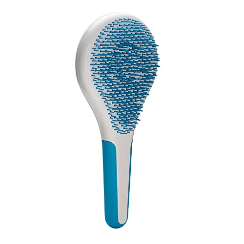 Michel Mercier Spa Brush - Detangling Hair Brush for Wet or Dry Hair (Thick Hair - Blue)