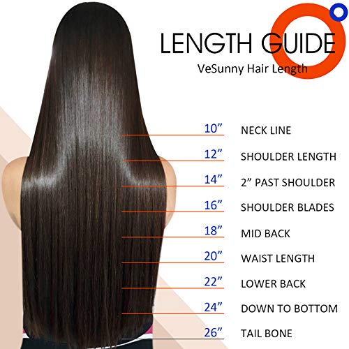 Ve Sunny VeSunny 24Inch Clip in Human Hair Extensions Color Darkest Brown  #2 Fading to Medium