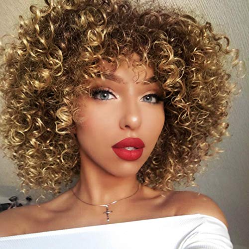 AISI QUEENS Afro Wigs For Black Women Short Kinky Curly Full Wigs Brown Mixed Blonde Synthetic Heat Resistant Wigs For African W