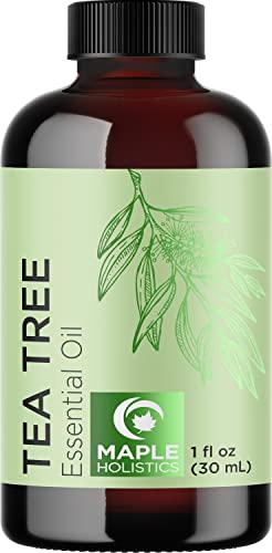 Maple Holistics Pure Tea Tree Essential Oil - Pure Australian Tea Tree Oil  for Hair Skin and Nails plus Moisturizing Cleansing Oil for Face Care