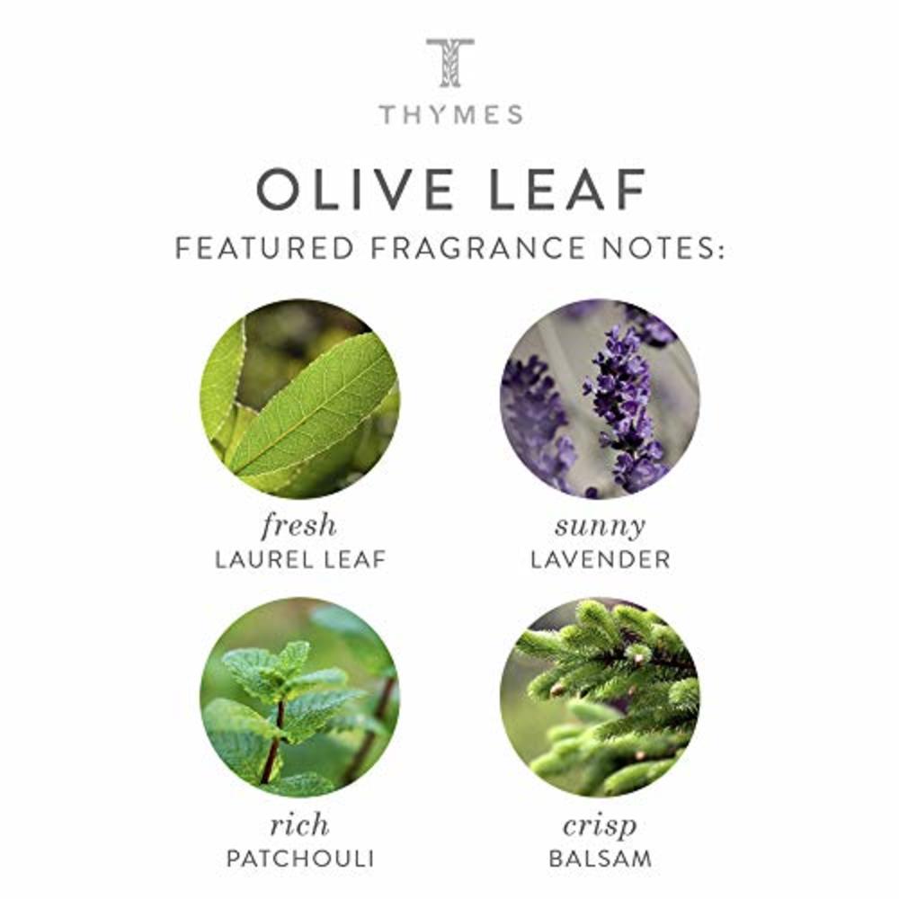 Thymes Hand Wash - 8.25 Fl Oz - Olive Leaf