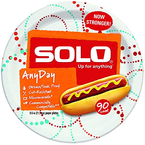 SOLO Cup Company Any Day Paper Plates, 8.5 Inch, 360 Count, Printed