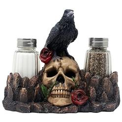 Home n Gifts Bone Chilling Raven on Human Skull Salt and Pepper Shaker Set with Decorative Display Stand Figurine for Scary Halloween Decorat