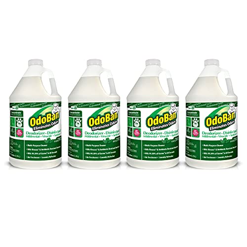 OdoBan 911062G4 Concentrated Odor Eliminator, Eucalyptus, 1gal Bottle (Case of 4)
