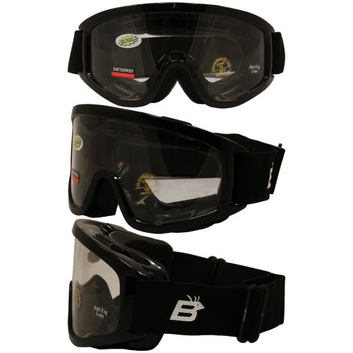 Birdz Eyewear Vulture Motorcycle Goggles (Black Frame/Clear Lens)