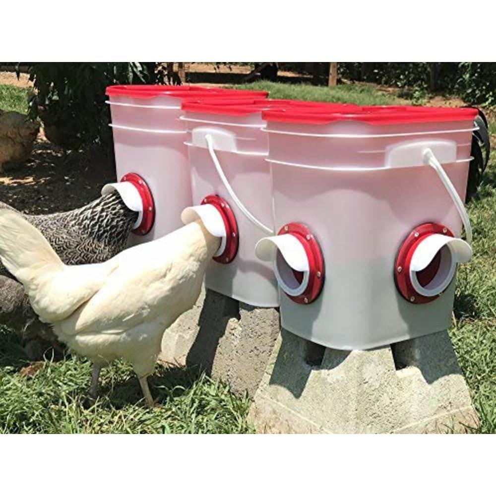 RentACoop Chicken Feeder-Holds 20 Pounds-Pellets-Crumbles-Grain in Bucket - for 21st Century Chicken Owners - Inside or Outside of Coop - 