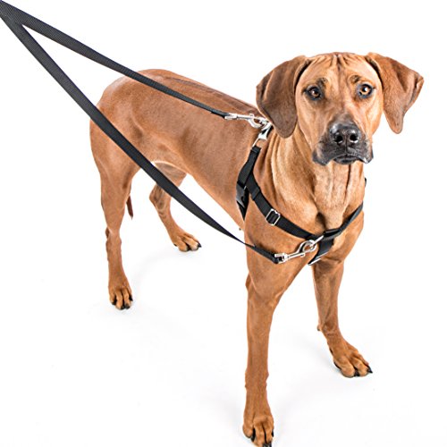 2 Hounds Design Freedom No-Pull Dog Harness Training Package, Medium (1