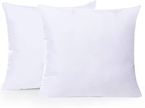 Sleepsia 18 x 18 Throw Pillow Inserts (Set of 2) - Fluffy Polyester