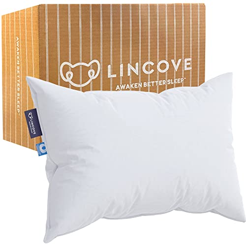 Lincove cloud Natural canadian White Down Luxury Sleeping Pillow - 625 Fill Power, 500 Thread count 100% cotton Shell, Made in c