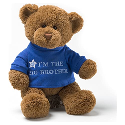 Enesco GUND Im the Big Brother T-Shirt Teddy Bear Stuffed Animal Plush, Blue, 12?