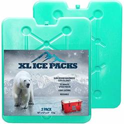 Portion Perfect Large Ice Packs For Coolers and Ice Chest by Portion/Perfect - 20 Minute Quick Freeze Long Lasting Freezer Packs - Slim, Sealed