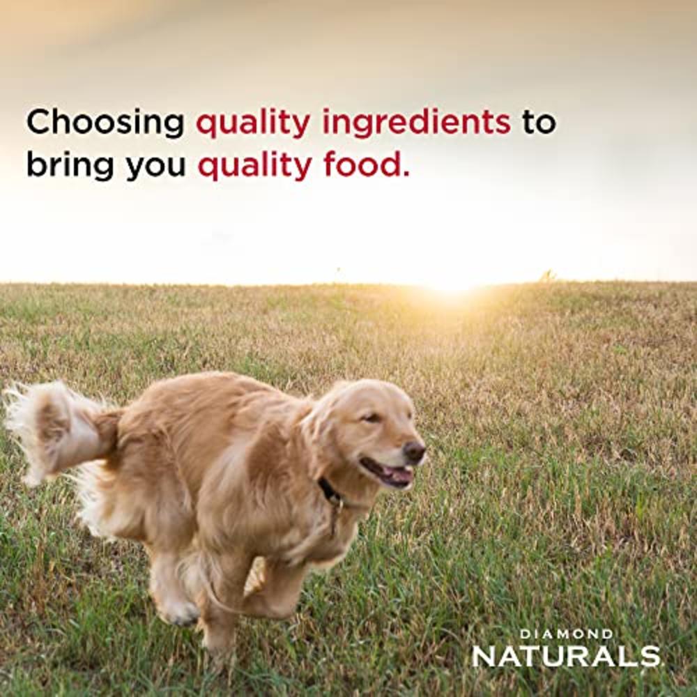 Diamond Naturals Small Breed Chicken and Rice Formula Adult Dry Dog Food with Protein from Real Chicken, Healthy Fats, Probiotic