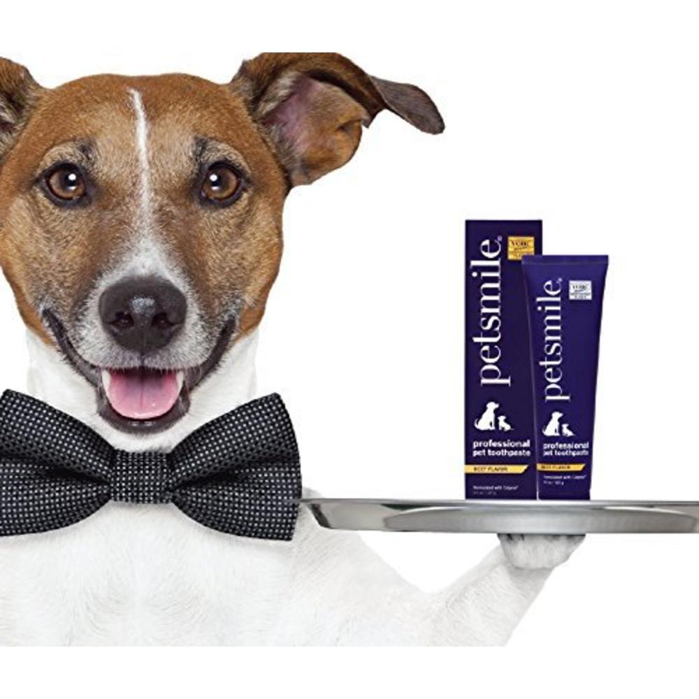 Petsmile Professional Whitening Dog Toothpaste | VOHC Approved Flavored ...