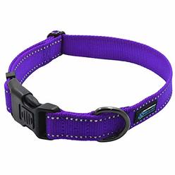 Max and Neo NEO Nylon Buckle Reflective Dog Collar - We Donate a Collar to a Dog Rescue for Every Collar Sold (Large, Purple)