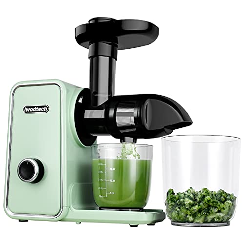 iwodtech Cold Press Juicer, Juicer Machines Vegetable and Fruit, BPA Free Celery Juicer, Slow Masticating Juicer with 2 Speed &