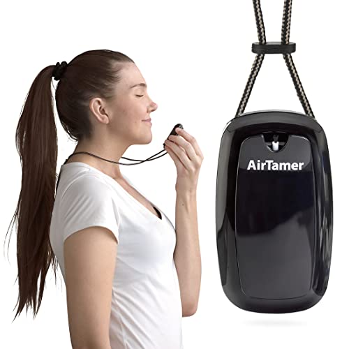 AirTamer A315 Advanced Rechargeable and Portable Air Negative Ion generator Proven Performance, Black with Black Leather Travel
