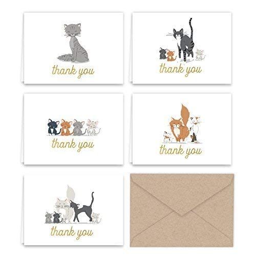 Paper Frenzy Kittens and Kitty Cats Thank You Note Card Collection 25 pack with Kraft Envelopes