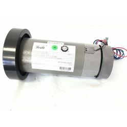 Icon Health & Fitness, Inc. Dc Drive Motor 116ZY1-2 405694 L-405557 Works W NordicTrack 1750 2450 PRO5000 Treadmill