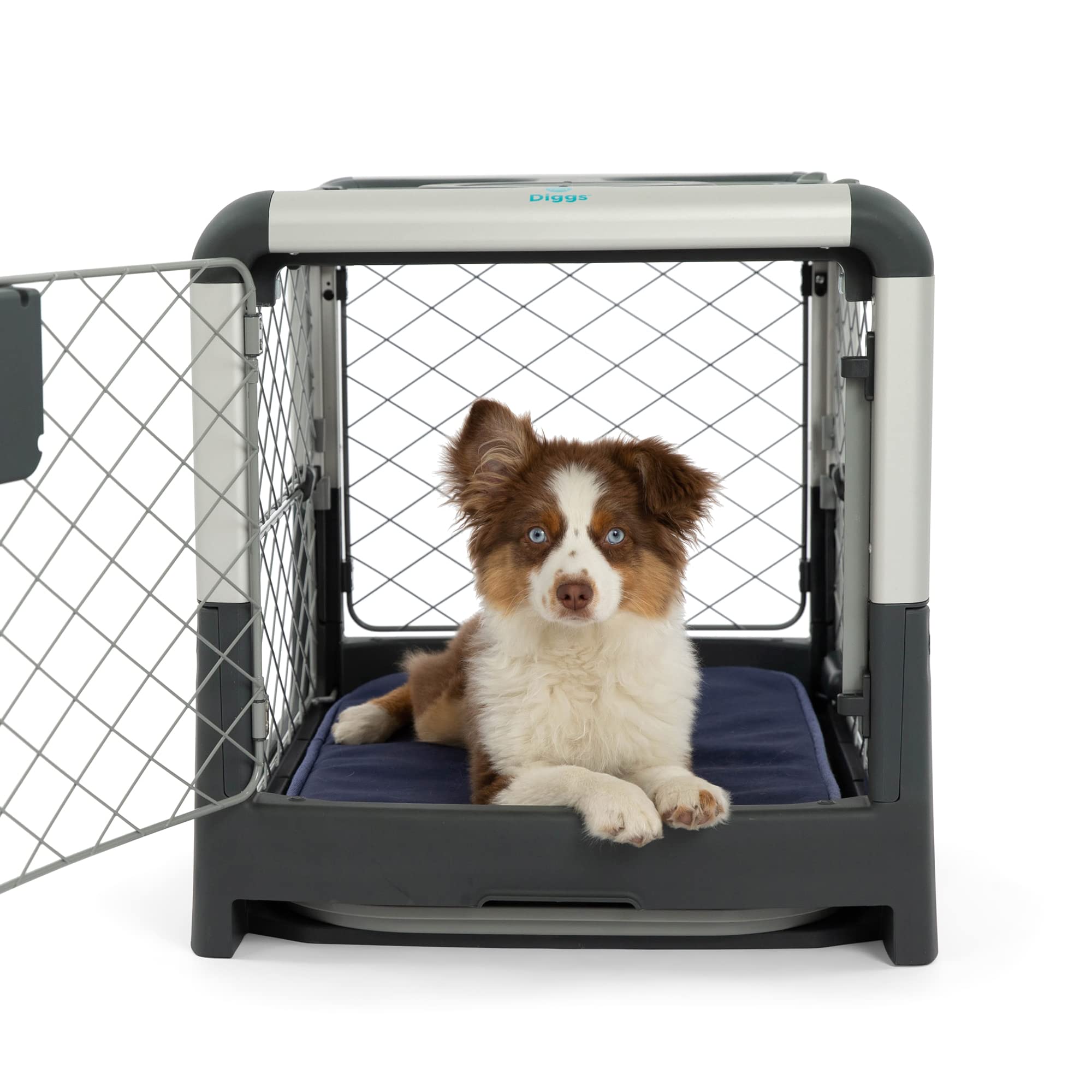 Diggs Revol Dog Crate (Collapsible Dog Crate, Portable Dog Crate, Travel Dog Crate, Dog Kennel) For Small Dogs And Puppies (Grey