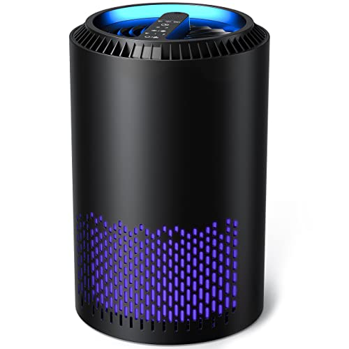 Aroeve Air Purifiers For Home, H13 Hepa Air Purifiers Air Cleaner For Smoke Pollen Dander Hair Smell Portable Air Purifier With