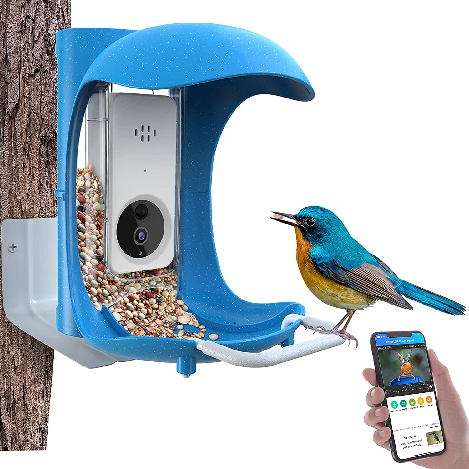 Birddock Smart Bird Feeder With Camera, Hd Visual Storage Feeders, Night Video Camera, Heavy Duty Base For Waterproof Outsideyar