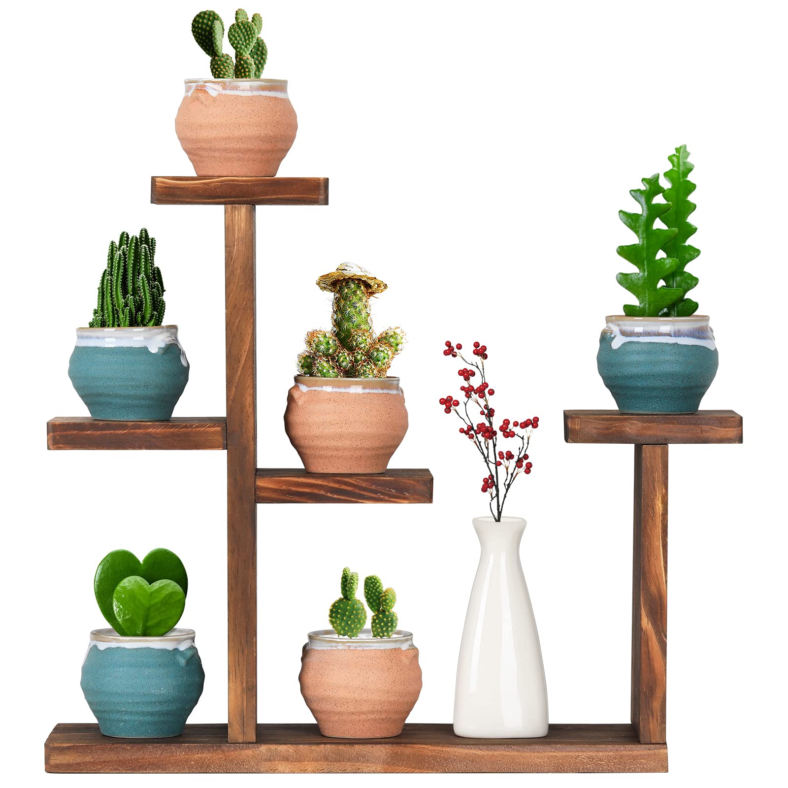 COOGOU Wooden Tabletop Plant Stand - 5 Tier Succulent Plant Holder  Decorative Planter Holder Small Desktop Flower Pot Rack Shelf