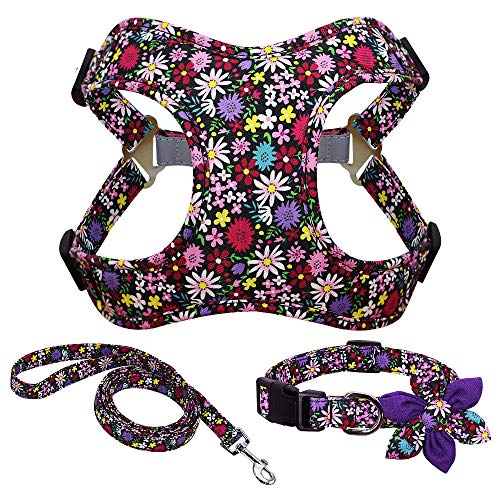 ZNYLX Dog Cat Harness With Leash Violet Dog Harness Leash And Collar Set Printed No Pull Dog Harness Vest Leash Collar Set For Small M