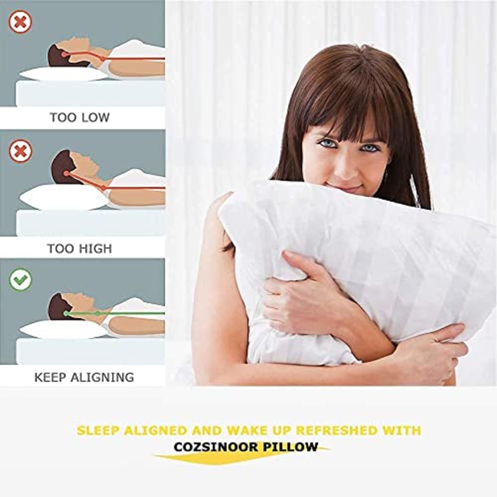 Cozsinoor Pillows For Sleeping (2-Pack)- Luxury Down Alternative Pillow Breathable Premium Quality Cover (Queen Size)