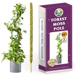 DUSPRO Green Moss for Crafts Decorative Moss Filler for Planters Moss Decor Artificial Table Centerpieces Wedding Christmas Fair