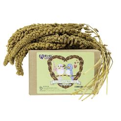 Birds LOVE French Kissed Millet for cockatiel, Lovebirds, Parakeet, Finches, canary and all Birds Healthy Treat for Parrorts gMO