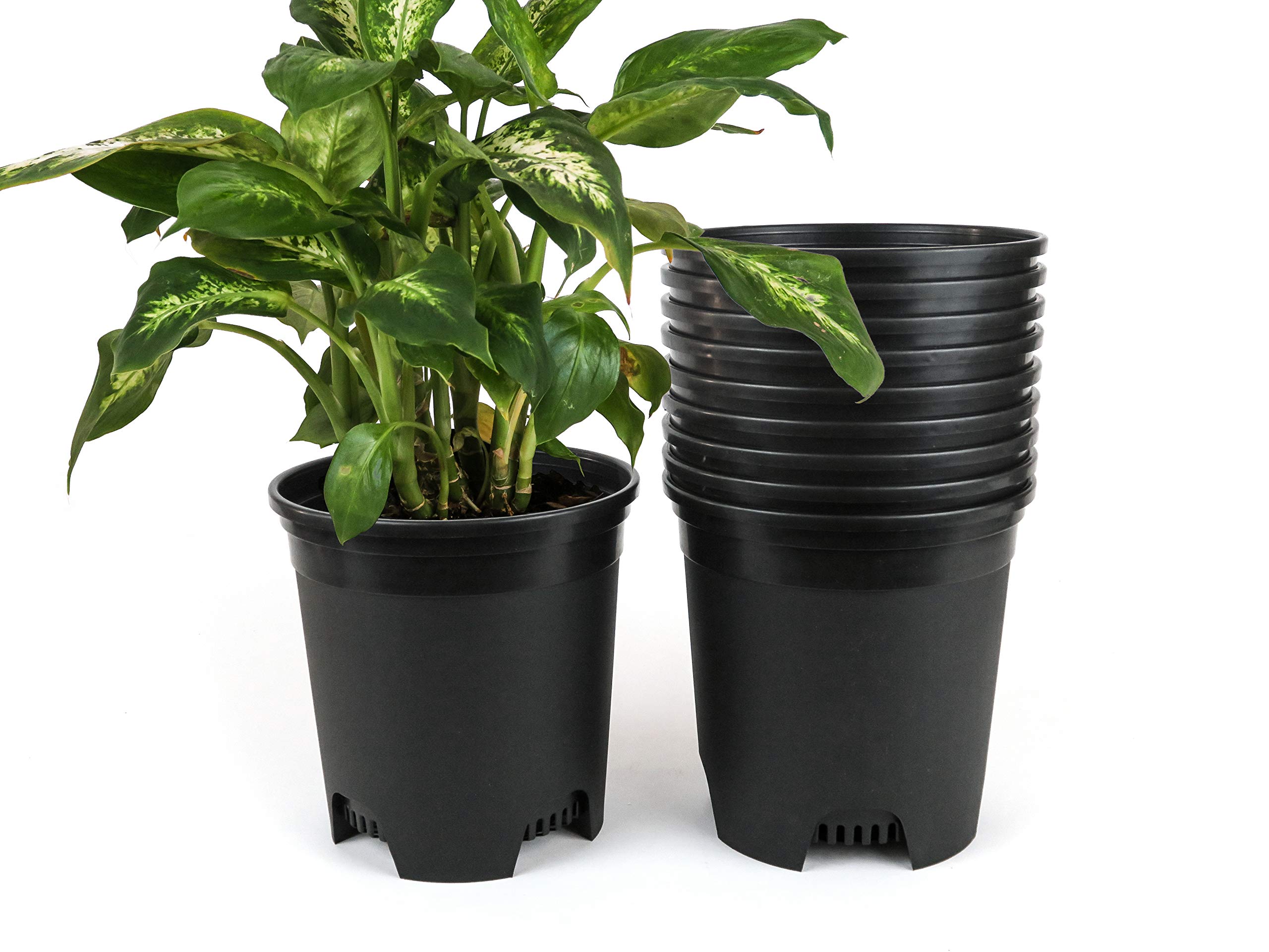 Cotta Planters 15 Gallon Black Nursery Pot Plastic Planters For Outdoor Indoor Plants Gardening Flower Pots 10-Pack 75 In Pot Liners With Drain