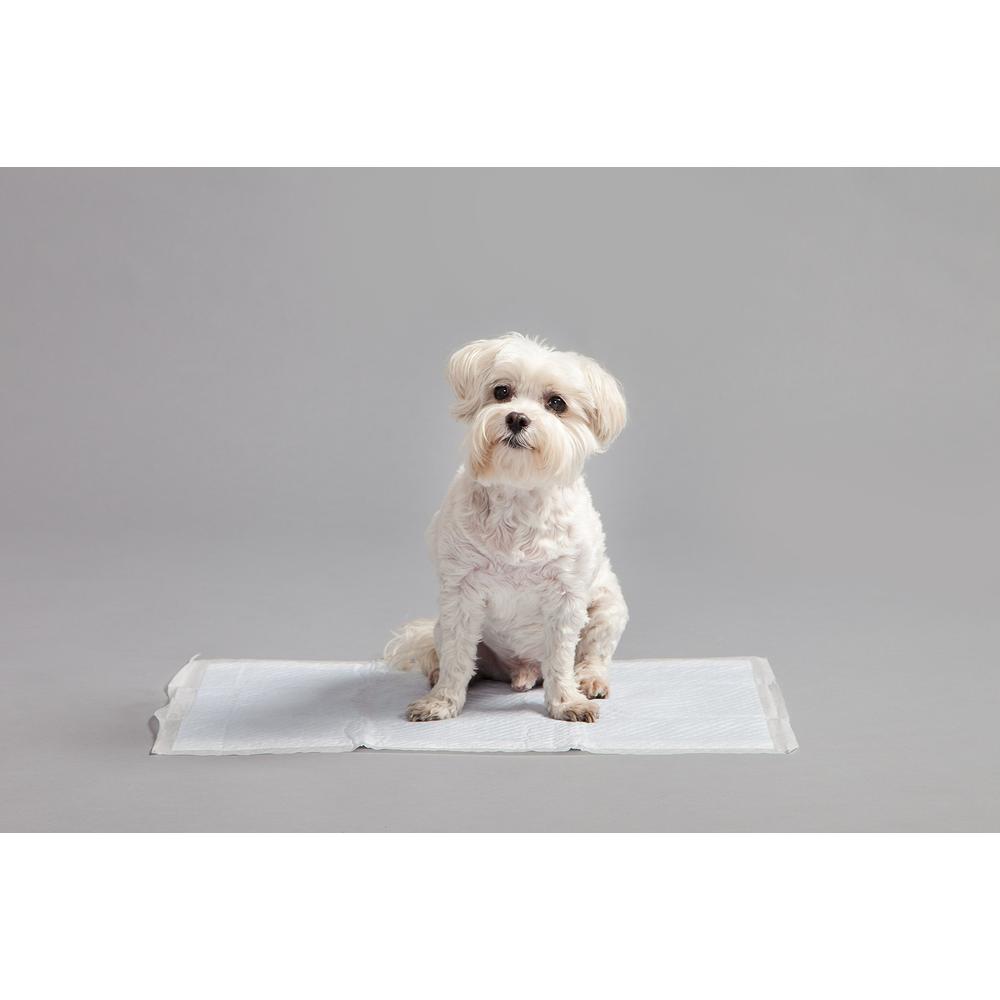 IRIS USA Neat n Dry Premium Pet Training Pads, Regular, 200 count, white