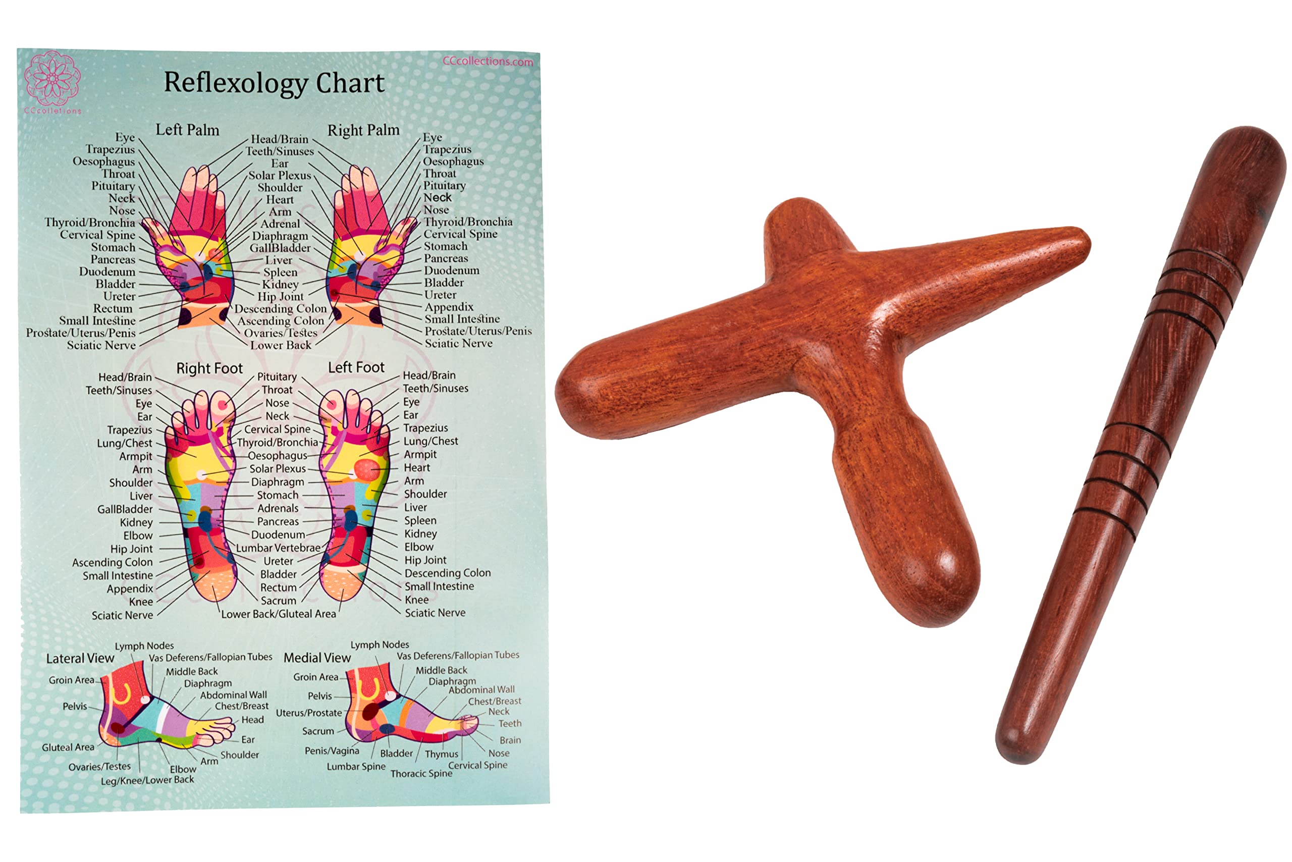 CCCollections Massage toolsets with Chart for Professionals Foot Hand Massage Wooden Stick Reflexology (English, Set D)