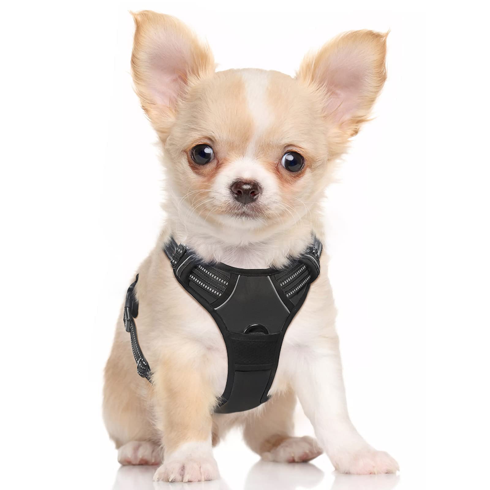 rabbitgoo Dog Harness, No-Pull Pet Harness with 2 Leash clips, Adjustable Soft Padded Dog Vest, Reflective No-choke Pet Oxford V