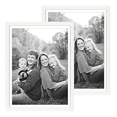DBWIN 18x24 Picture Frame White Wood Pattern Poster Frame Plexiglass Front 2 Pack Photo Frame for Art Prints Wall Decor Vertical