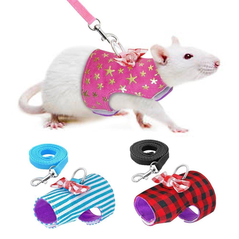 Stock Show Small Pet Outdoor Walking Harness Vest and Leash Set with Cute Bowknot Decor Chest Strap Harness for Rat Ferret Squir