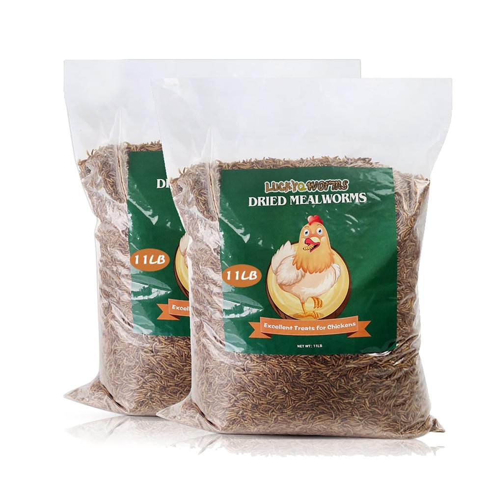 LuckyQworms Dried Mealworms, High-Protein Bulk Mealworms 22Lbs, 100% Non-GMO Mealworm Treats for Birds, Chickens, Turtles, Fish,