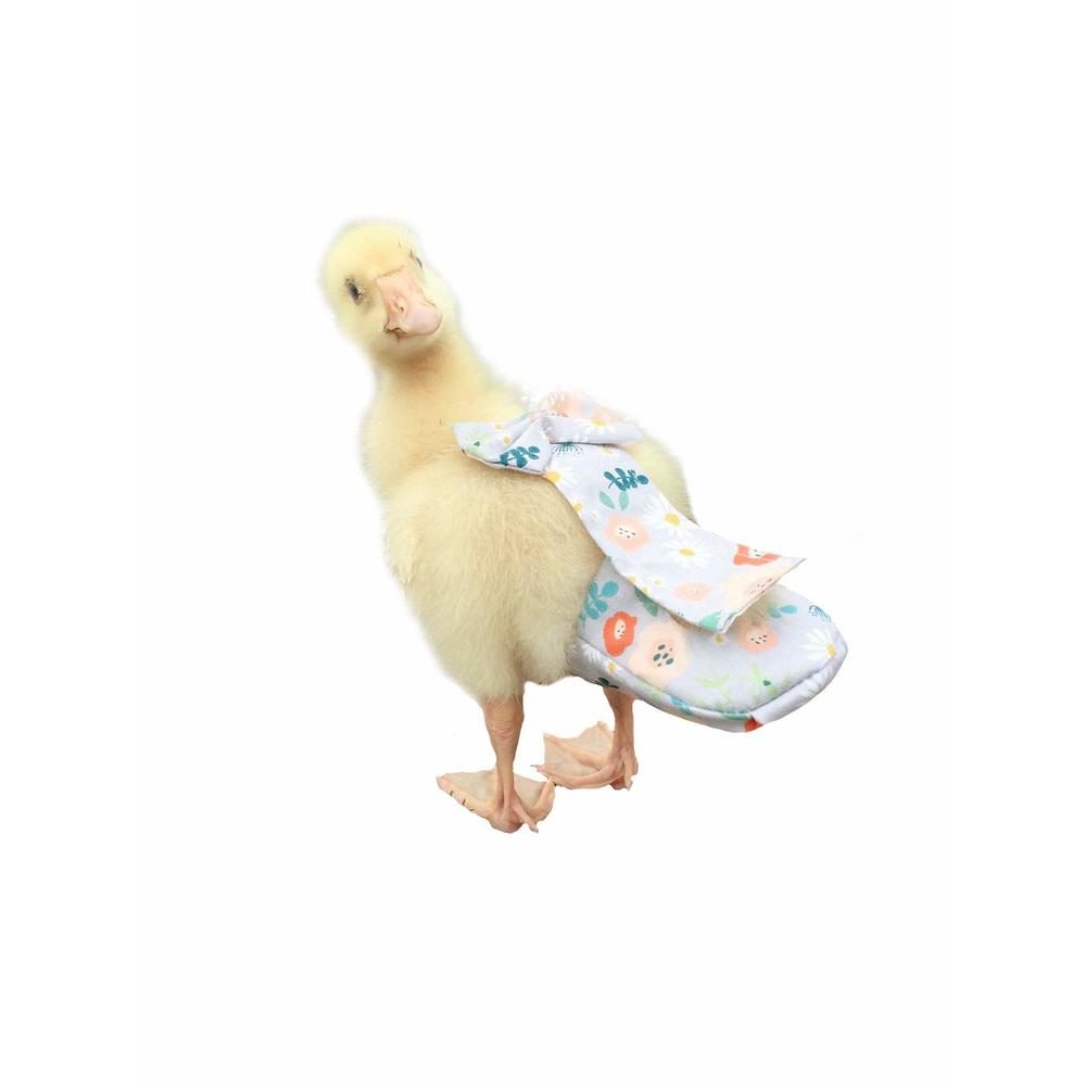 HEZHUO Duck Diapers, Chicken Diapers, Special Diapers for Poultry
