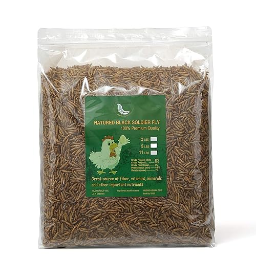 WORKPOINT Black Soldier Fly Larvae Dried Mealworms for Chickens, 100% Natural Premium Quality Non-GMO, Treats for Birds Hedgehog Hamster F